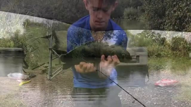 Huge carp action on the pellet at Berkshire fishery смотреть онлайн