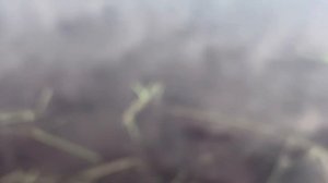 26 мая 2024 г. Тест спиннинга Арион.