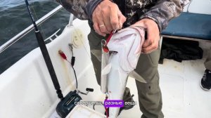 Настоящая морская рыбалка в Баренцевом море. Ловля трески. Отдых и развлечения в Мурманске.