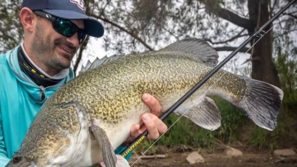 TG Tackle Talk | 13 FISHING Concept Z2 SLD