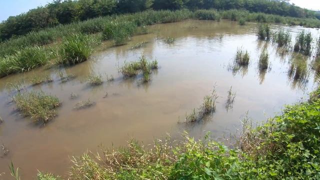 Рыбалка на рогатку в жару и духату смотреть онлайн