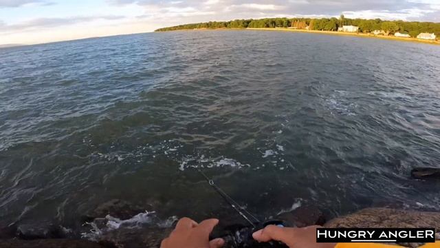 BFS set-up VS Wind | Final field test TSURINOYA dark wolf reel + Elf rod смотреть онлайн