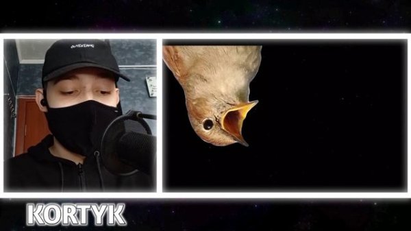 Фиксай feat. SOLOWAY - Соловей (Премьера трека) | РЕАКЦИЯ НА КЛИП