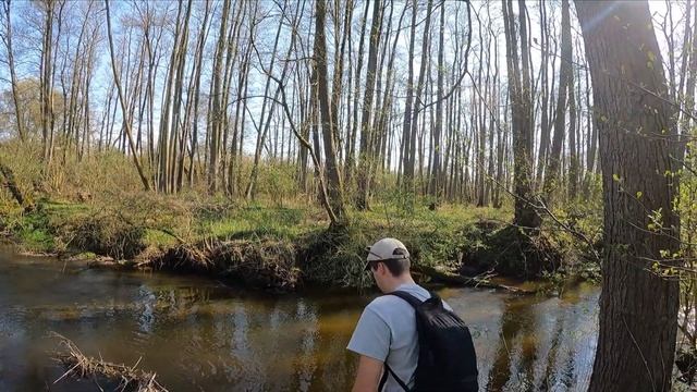 Bachforellenangeln in Mecklenburg Vorpommern #fishing #trout #troutfishing #forellenangeln #forelle смотреть онлайн