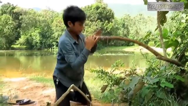 Учитесь ловить крокодилов! Просто уникальный способ! смотреть онлайн