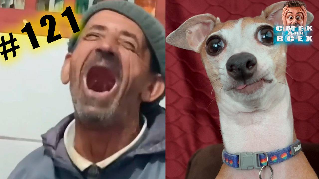 ПРИКОЛЫ 2024 смешные ВИДЕО ЧУДИКИ tiktok РЖУ ДО СЛЕЗ №121 тест на психику, попробуй не засмеяться смотреть онлайн