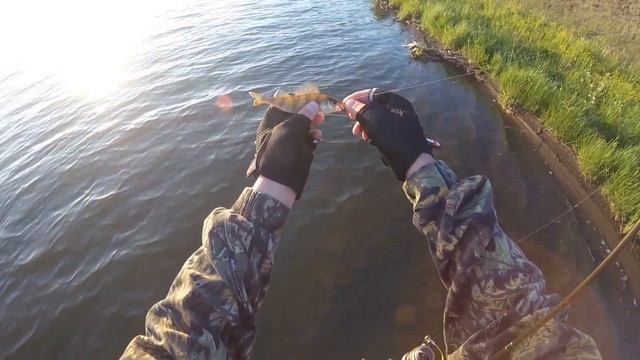 Мормышинг (Mormishing) XUL Fishing 29.05.2016 смотреть онлайн