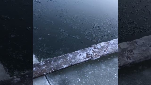 Форель в Башкирии смотреть онлайн