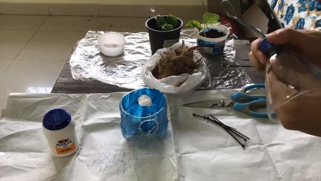 DIY Bird feeder from plastic bottle | The Window Gardener смотреть онлайн