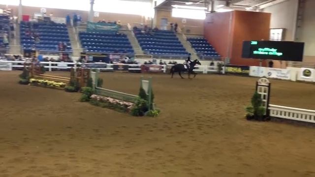 USEF/Cacchione Cup Work Off смотреть онлайн