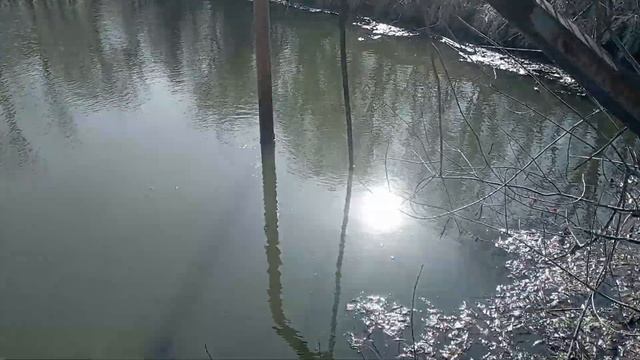 рибалка на паук #рибалка #копанка #річка #паук #fishing #риба смотреть онлайн