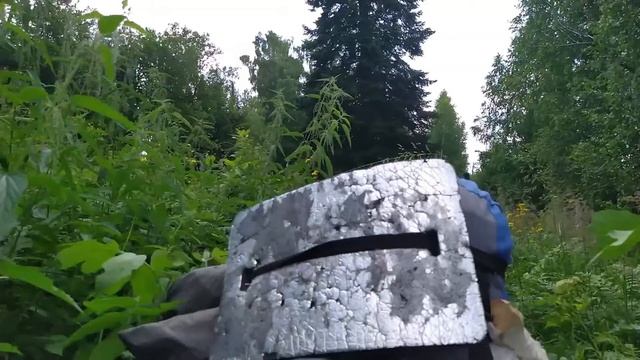 Эстафета "По следам экспедиции П. Чихачёва" 01.06.-30.08.2021 смотреть онлайн