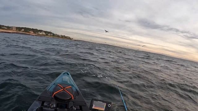 Birds And Bait Everywhere! Rhode Island Fall Run Fishing 2022 смотреть онлайн