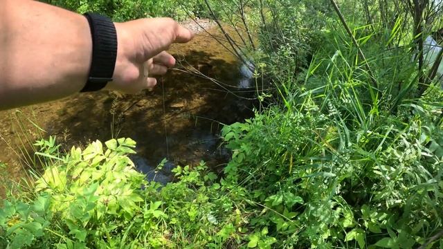 Аж ВЫПРЫГИВАЕТ из воды ЗА ЭТИМИ ПРИМАНКАМИ! смотреть онлайн
