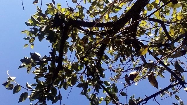 20241006_100527.mp4 смотреть онлайн