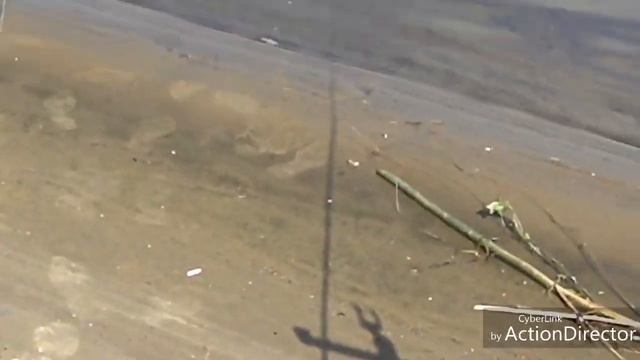 Фидер. Оболонь. Газо-провод. Весна 2019г.