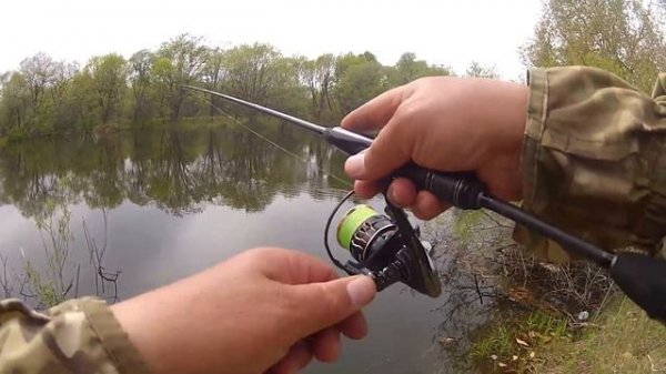 EXTRЕME LINE NEW 732 ловля белого хищника. Май 2020.