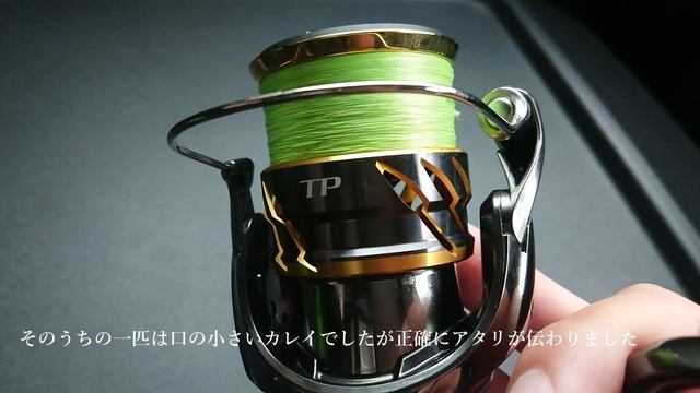 20ツインパワー　1ヶ月ロックフィッシュで使ってきた感想をお話しします смотреть онлайн