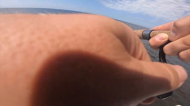Putting the Osprey CE Reel to Work on Gator Trout & Inshore Game Fish смотреть онлайн