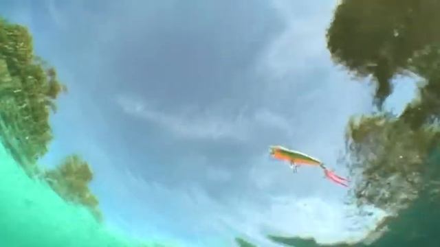 12 Rapala - Skitter Pop смотреть онлайн