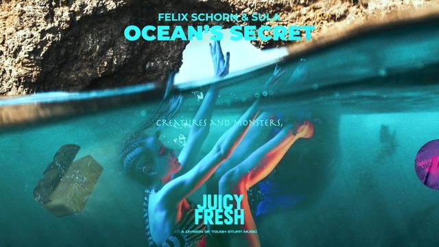 Felix Schorn & Sula - Ocean's Secret (Official Lyric Video HD) смотреть онлайн