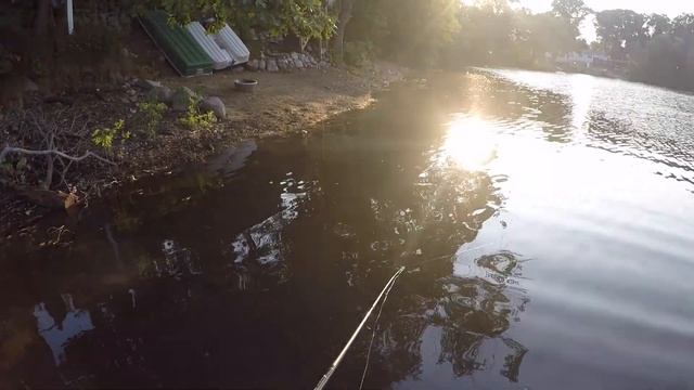 BEST CHEAP Fishing Combo! (DAIWA) смотреть онлайн