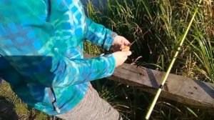 #рыбалка #fishing  РЫБАЛКА НА РЫБОЛОВНЫЙ ПЛАСТИЛИН