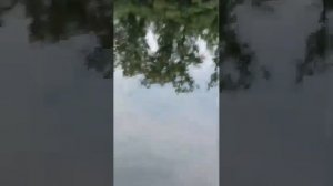 Моя первая лодка и первый лодочный мотор 😊HANGKAI 6 ХАНКАЙ 6 @ханкай6@hangkai2023