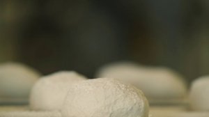 Алтайхлеб 2023