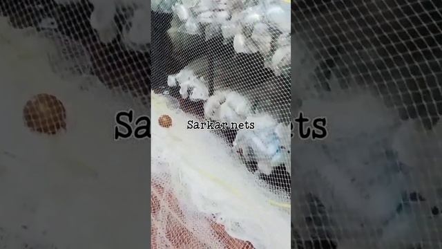 nylon DRAGE NET смотреть онлайн
