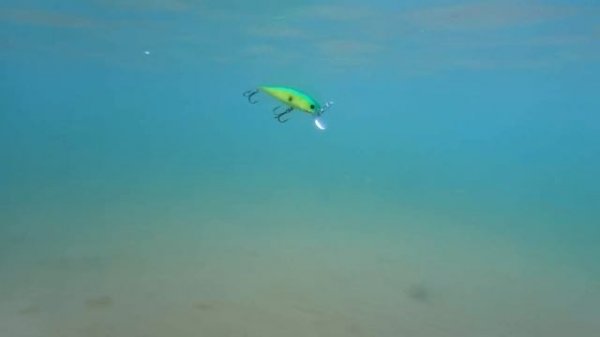 КАК СЕ ВОДИ ВОБЛЕР ЗА РИБОЛОВ НА ЩУКА - Lucky Craft Pointer 100sp