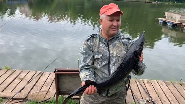 Поимка Крупного Осетра смотреть онлайн