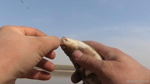 Газопровод.Плотва,густера и людей больше чем РЫБЫ)))) смотреть онлайн