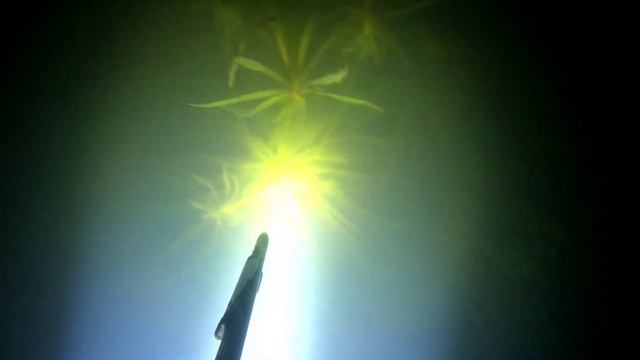 Зачётные карасики смотреть онлайн