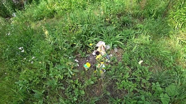 ЗАБРОШЕННЫЙ ДОМ В ЛЕСУ | КТО ЗДЕСЬ МОГ ЖИТЬ ? смотреть онлайн