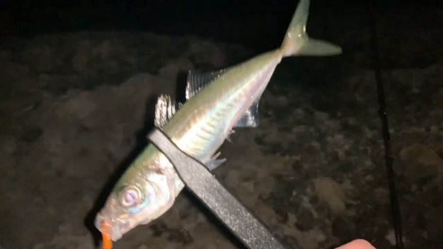 Вечерняя прогулка у моря. Тест новых приманок Rockfishka смотреть онлайн