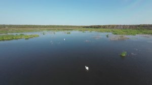 Полёты выходного дня