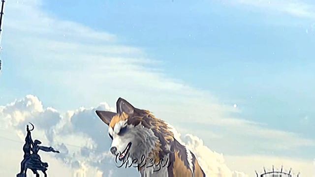 wcmv Чёрные очки смотреть онлайн