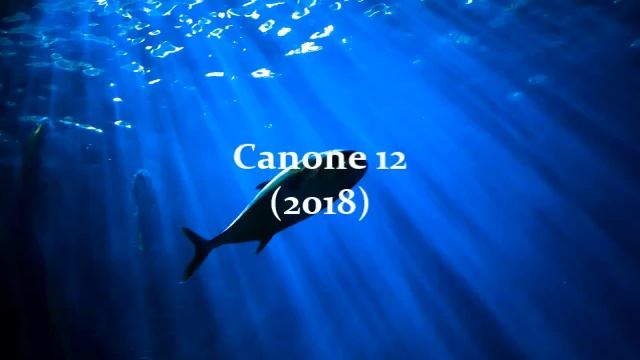 Carlotta Ferrari — Canone 12 (2018) for organ смотреть онлайн