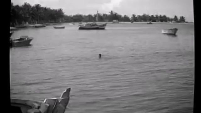 Andrey Makarov - Black and White Sounds смотреть онлайн