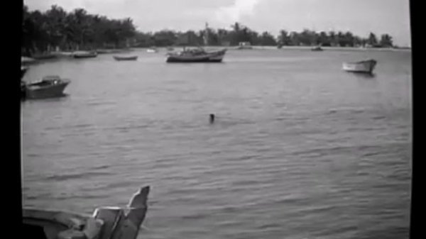 Andrey Makarov - Black and White Sounds