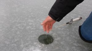 Ловля леща в начале марта