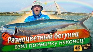 🇹🇼 Океанический кастинг и джиггинг. Дна нет, ищем рыбу!