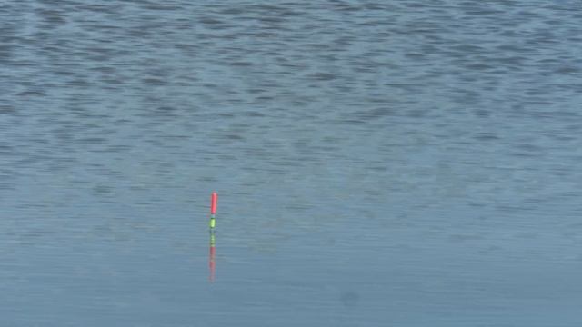 Только Поплавок и Звуки Природы//Релакс смотреть онлайн
