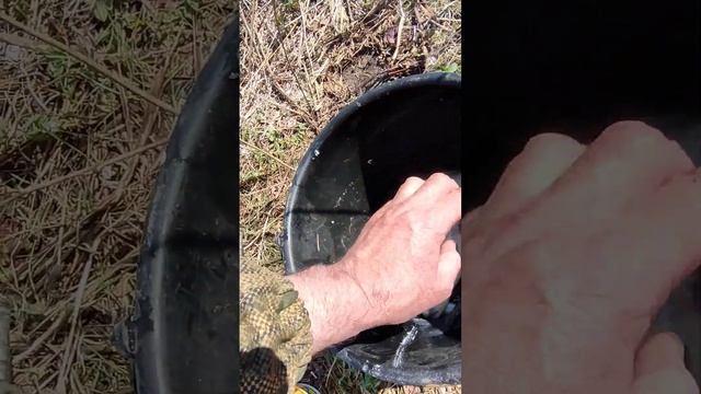 Ловля карася на поплавочную удочку весной. смотреть онлайн