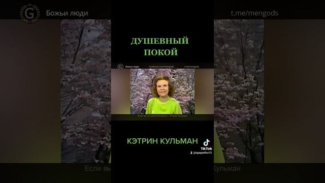 ШАЛОМ ДУШИ смотреть онлайн