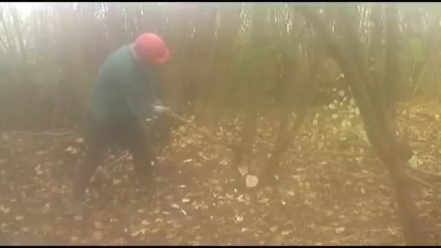 A Foggy Felling Felony смотреть онлайн