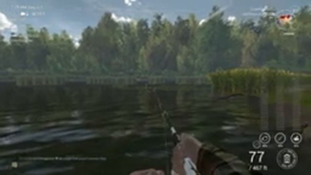 Fishing Planet - Akhtuba River - Trophy - Tench - Feeder смотреть онлайн