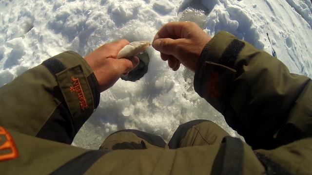 Ловля білої риби на гірлянду. Найкраща зимова снасть для ловлі мирної риби. смотреть онлайн