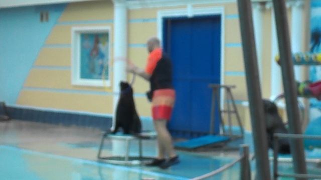 DSCN4276Море Турбаза Приморская Новомихайловский 2021 год.